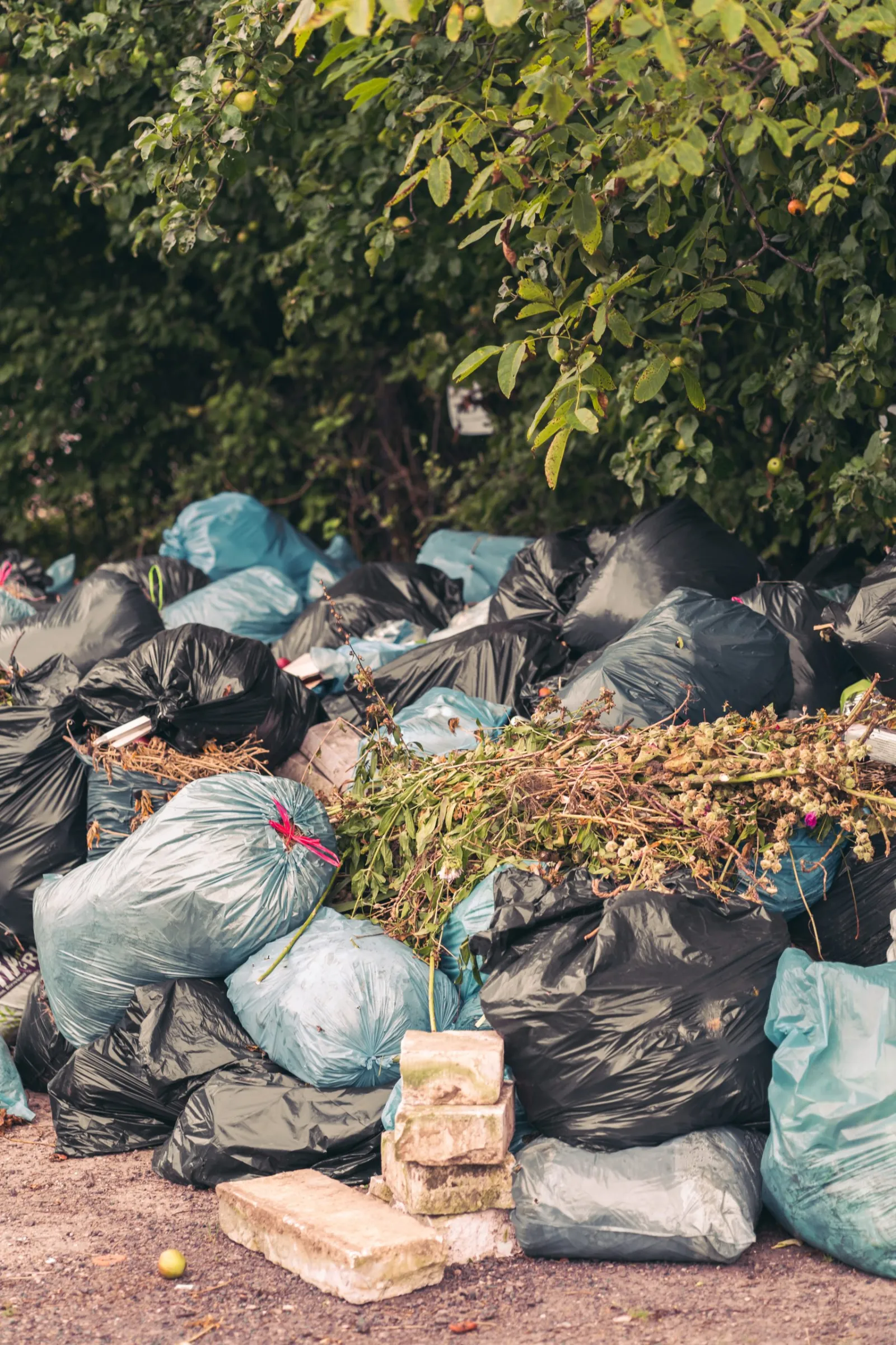Debris cleanup